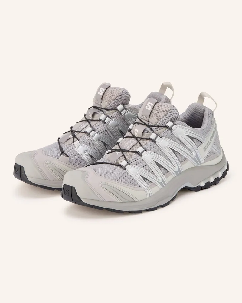 Salomon Wanderschuhe XA PRO 3D Grau