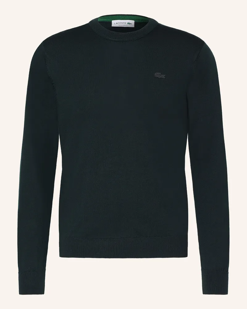 Lacoste Pullover gruen Dunkelgrün