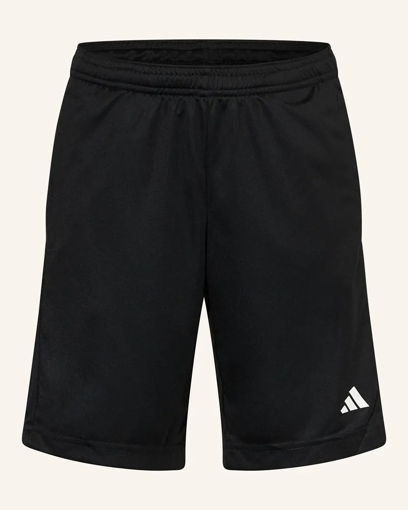 adidas Shorts TRAIN ESSENTIALS LOGO REGULAR FIT Schwarz