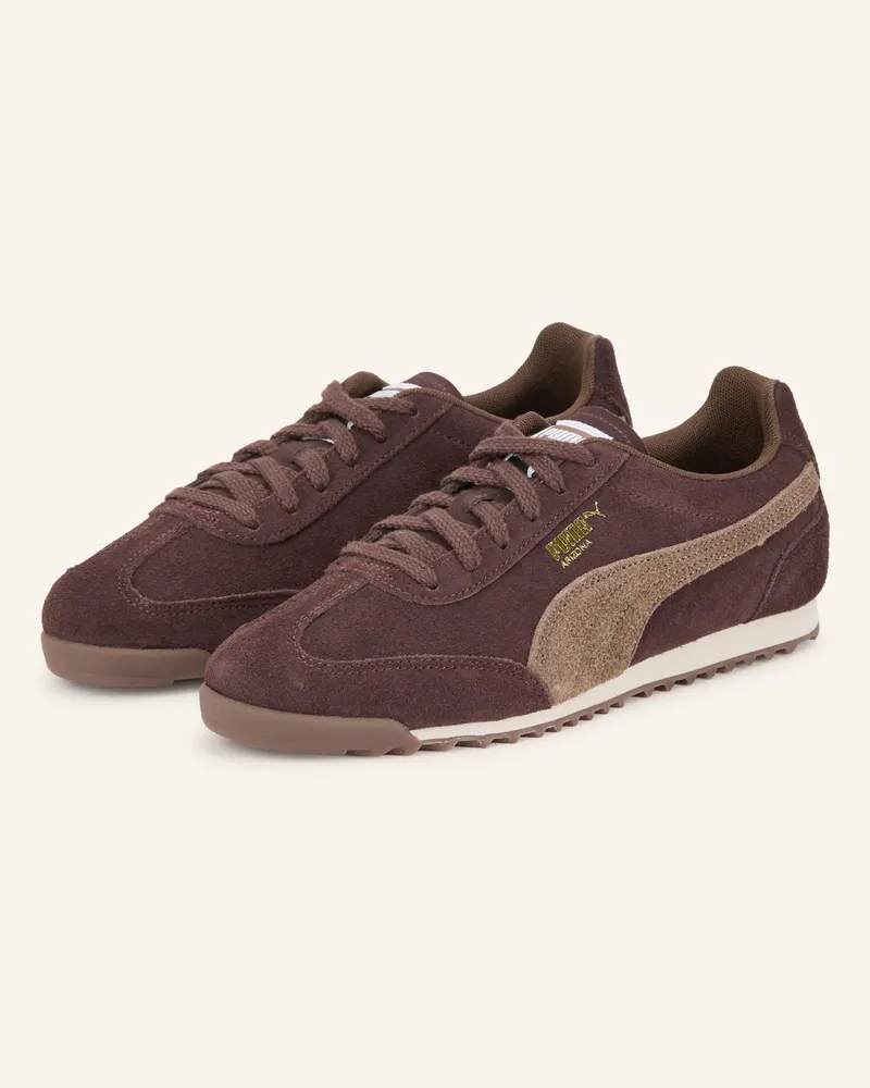 Puma Sneaker Arizona Sd braun Dunkelbraun