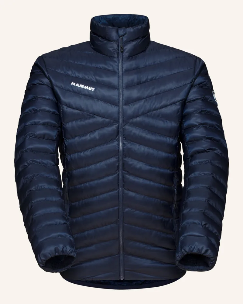 Mammut Steppjacke Albula In blau Blau
