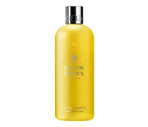 PURIFYING SHAMPOO WITH INDIAN CRESS 300 ml, 73.33 € / 1 l