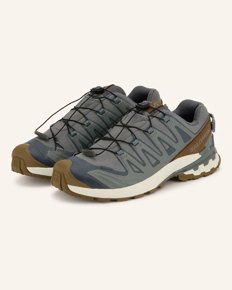 Salomon Trailrunning-Schuhe Xa Pro 3d v9 Gx Lifelong braun Grau