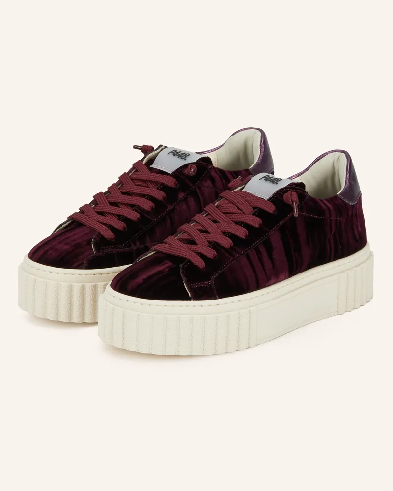 P448 Sneaker Creeper 88 rot Dunkellila