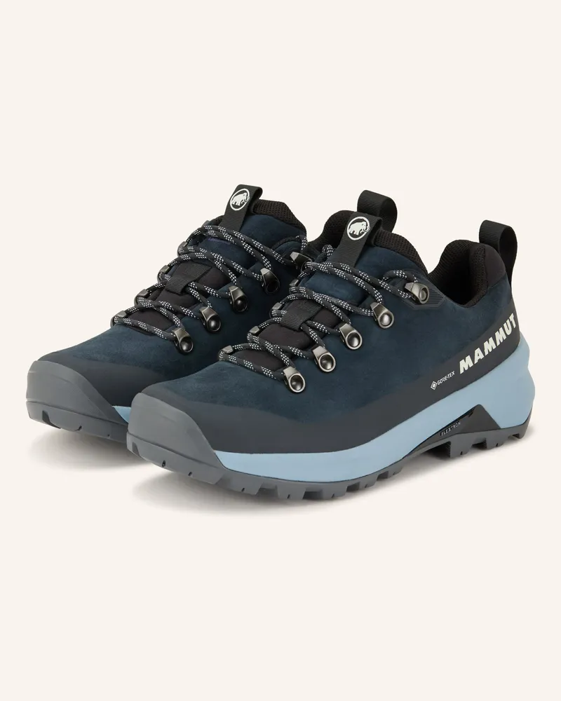 Mammut Wanderschuhe DUCAN III LOW LTH GTX Dunkelblau