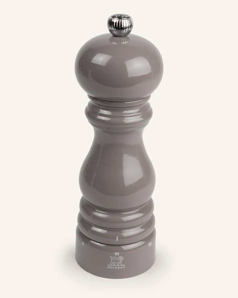 Peugeot Pfeffermühle Paris grau Dunkelgrau
