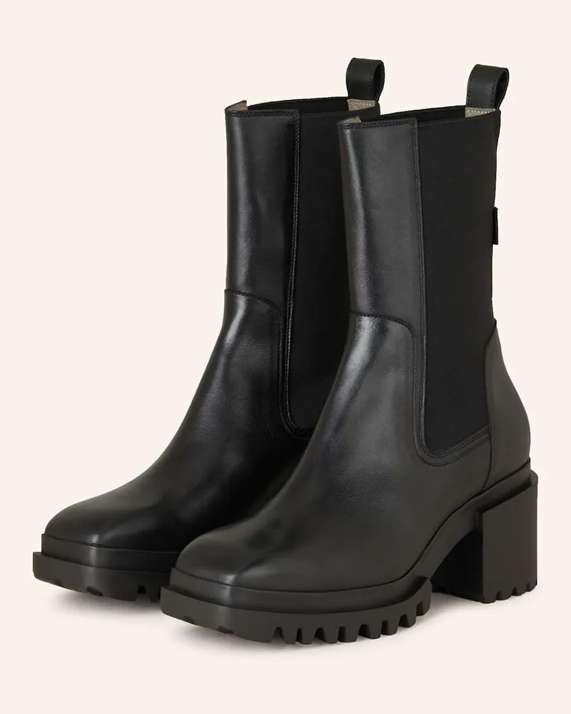 AllSaints Stiefeletten SKARLET - SCHWARZ Schwarz