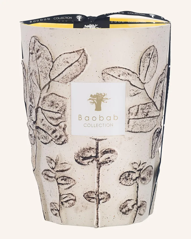 Baobab Collection Duftkerze FOLIA CALANQUE Creme