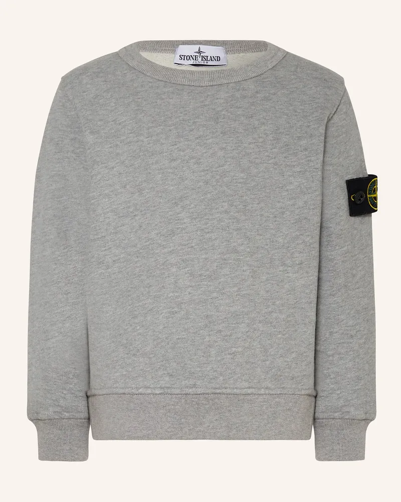 Stone Island Sweatshirt Grau