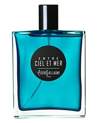 Pierre Guillaume Paris ENTRE CIEL ET MER 100 ml, 1600 € / 1 l 