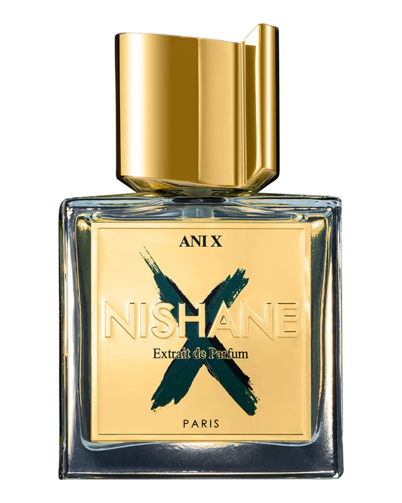 NISHANE ANI X 