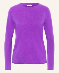 Darling Harbour Cashmere-Pullover Lila