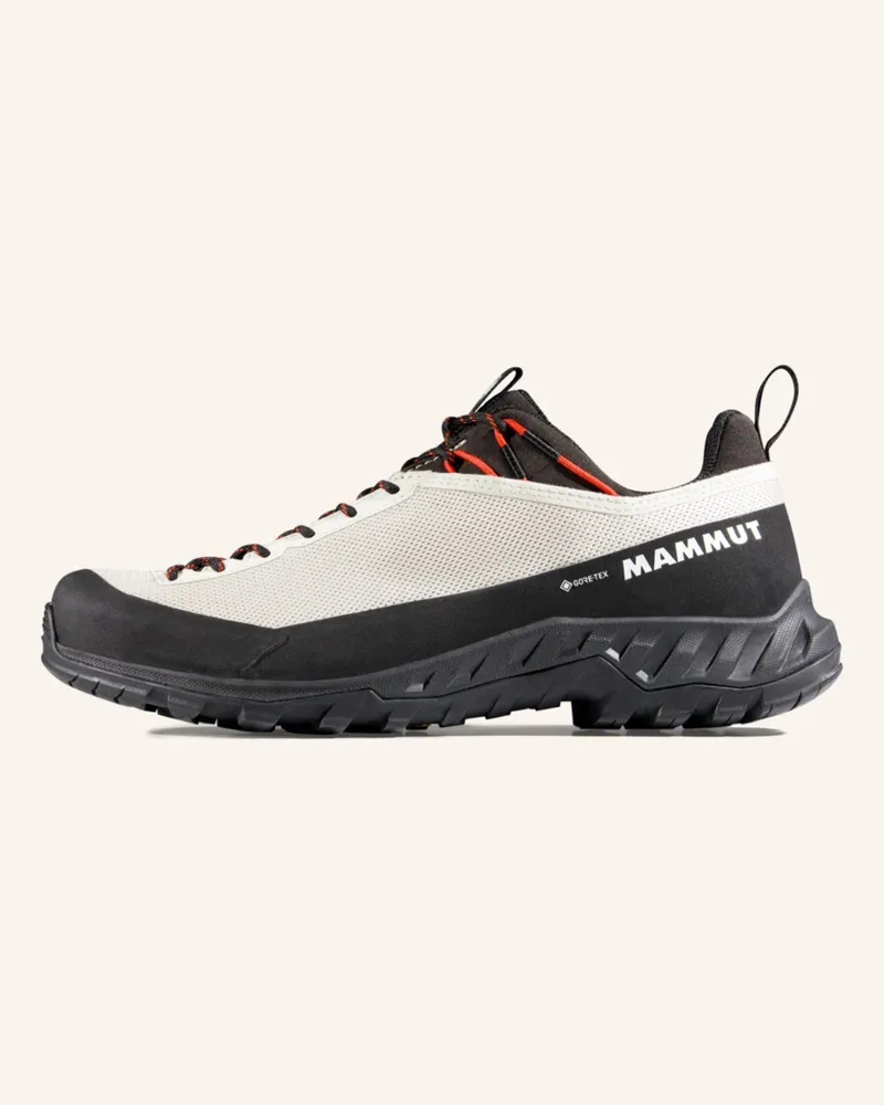 Mammut Alnasca IV Low GTX Women Grau
