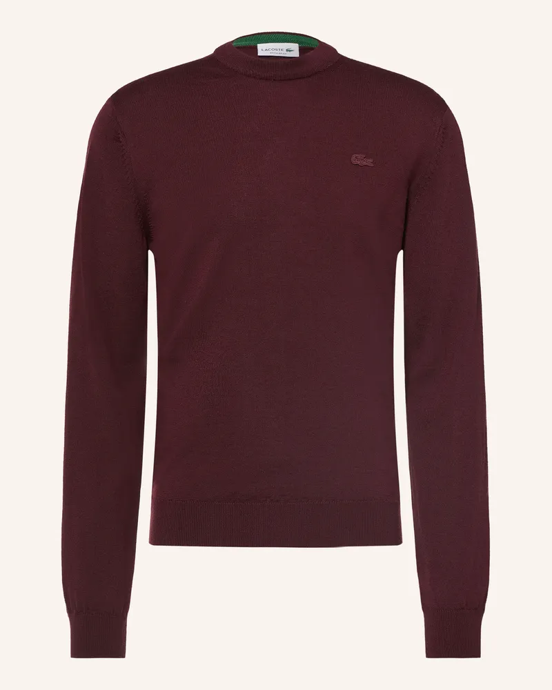 Lacoste Pullover rot Dunkelrot