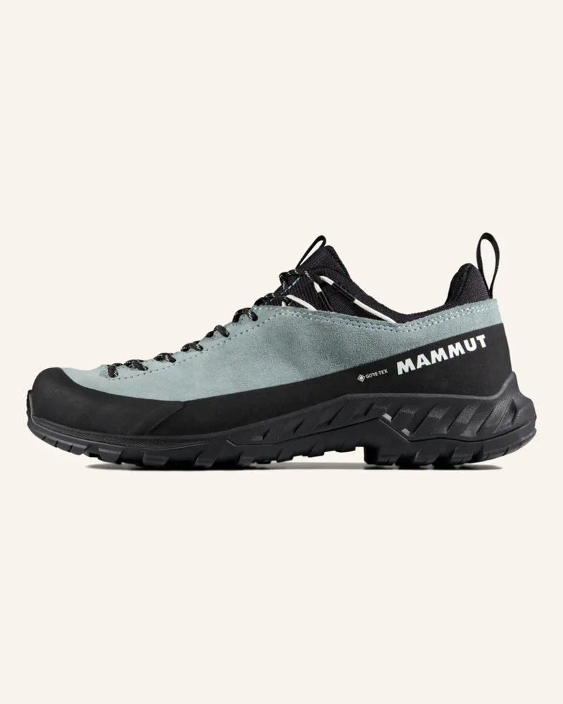 Mammut Alnasca IV Low LTH GTX Women Blau