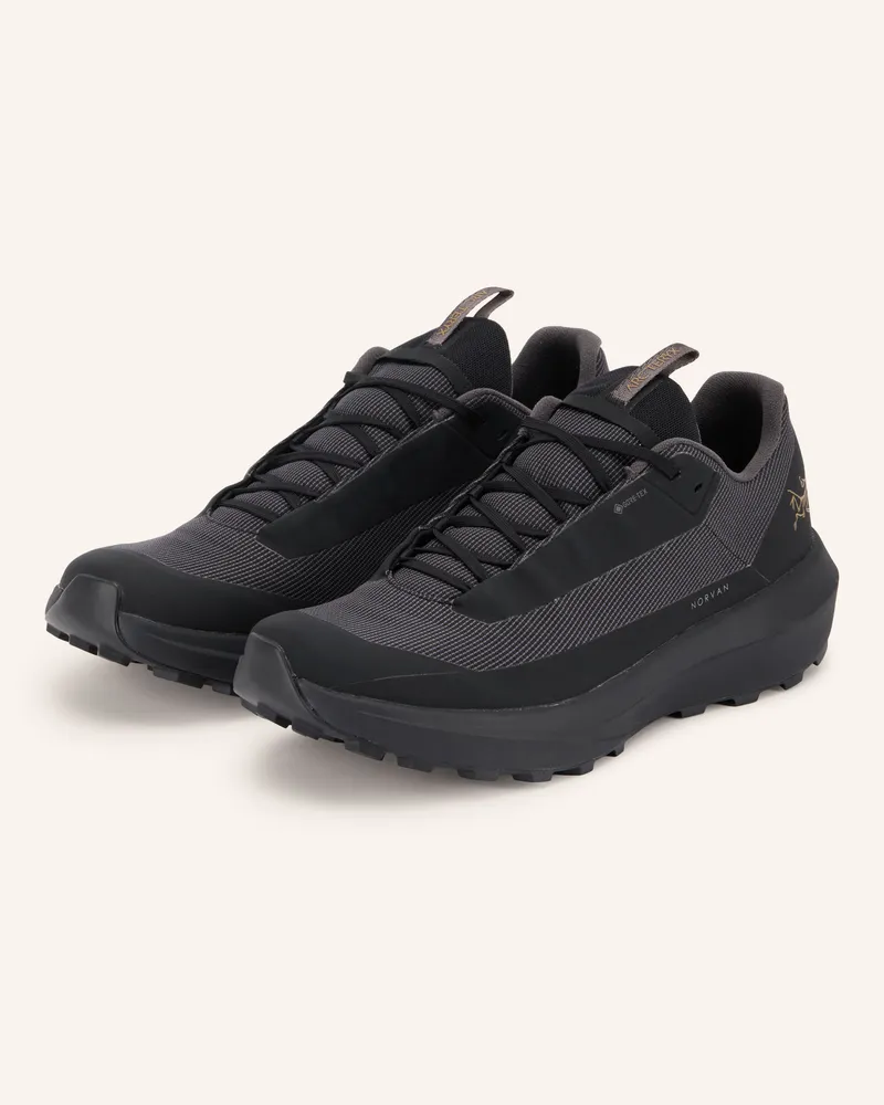 Arc'teryx Arc'teryx Trailrunning-Schuhe Norvan Ld 4 Gtx schwarz Schwarz