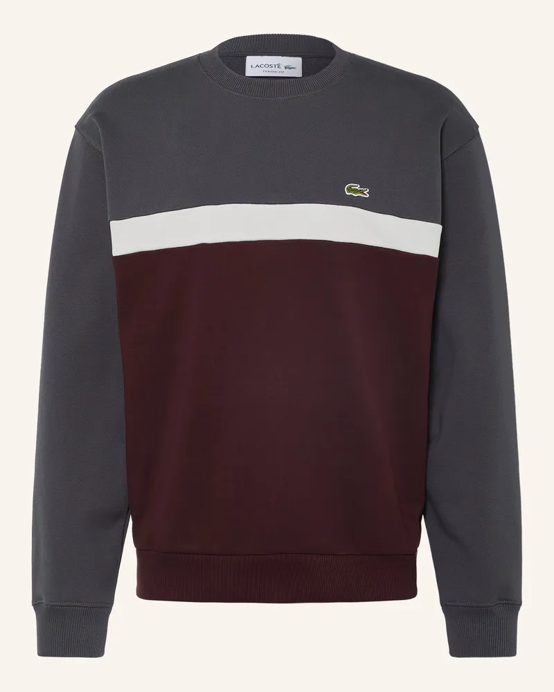 Lacoste Sweatshirt rot Dunkelrot