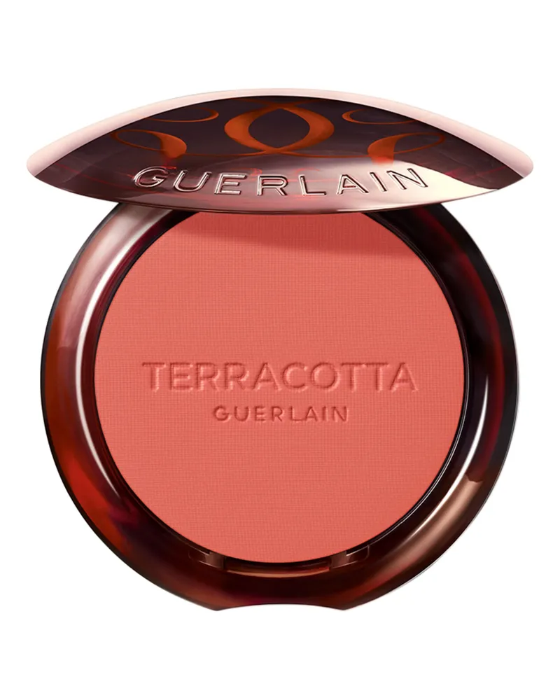 Guerlain Terracotta Blush Rouge 05