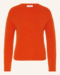 Darling Harbour Pullover Orange