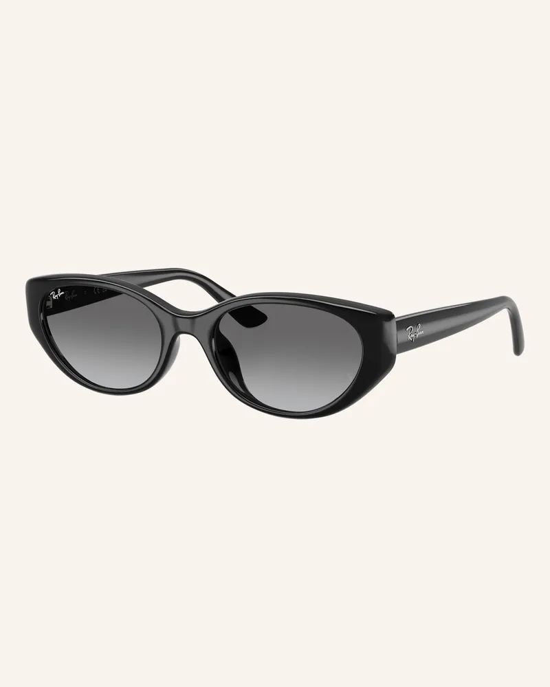 Ray Ban Sonnenbrille rb4457d schwarz 667711