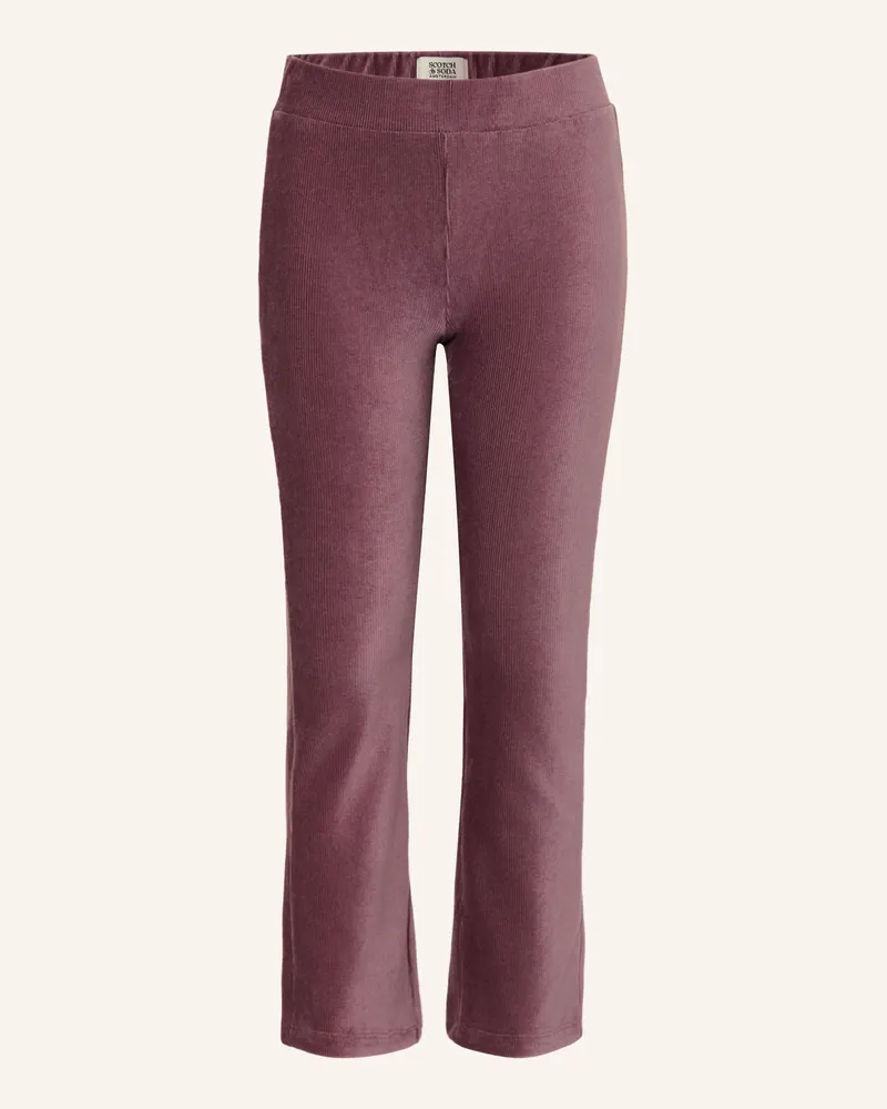 Scotch&Soda Samthose lila Altrosa