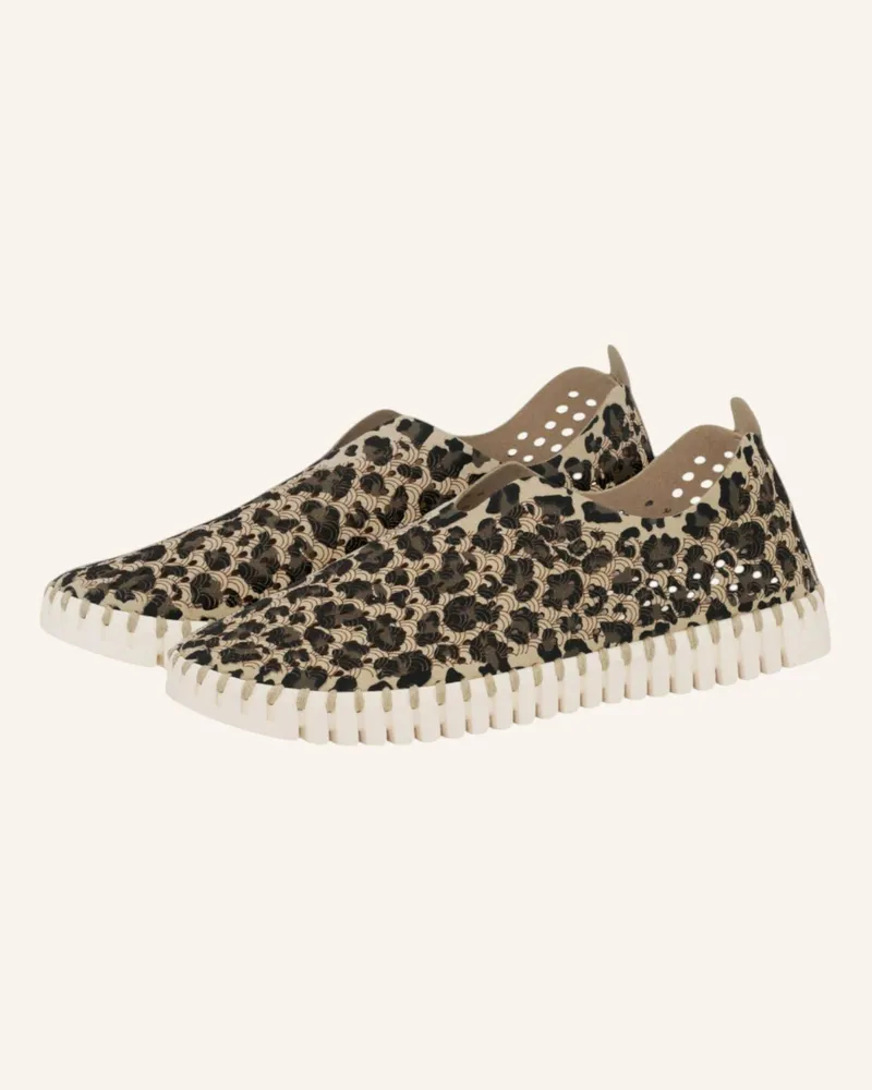 Ilse Jacobsen Slipper TULIP3275LEO Schwarz