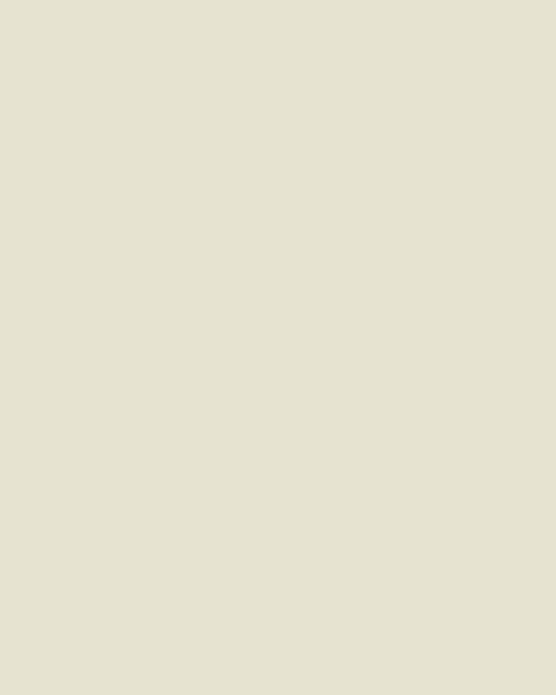 Hackett Jogginghose Moleskin 5pkt beige Beige