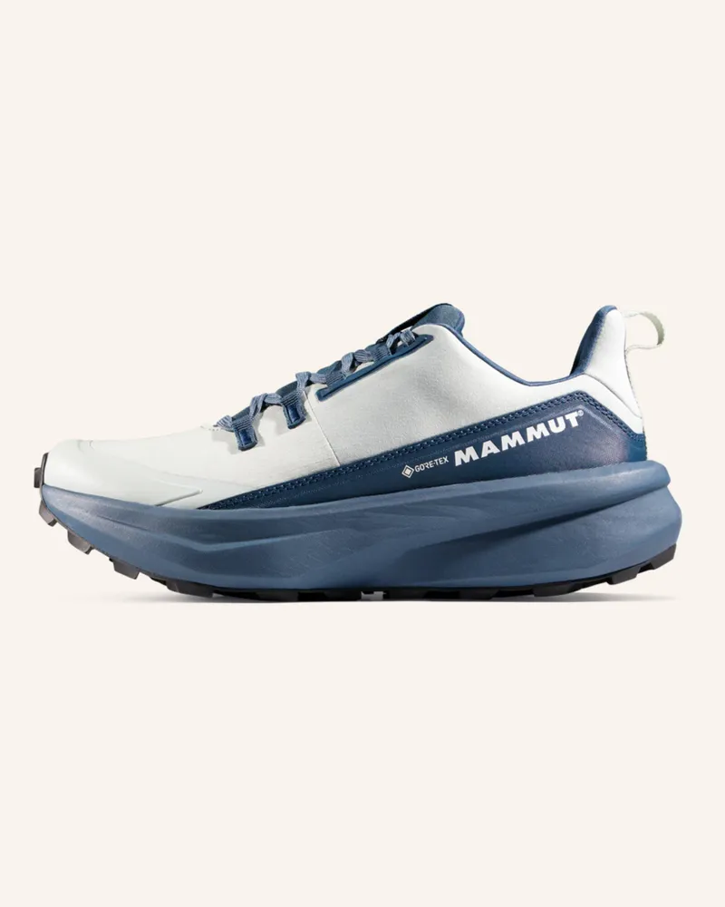Mammut Wanderschuhe Aenergy Hike Low Gore-Tex gruen Grün