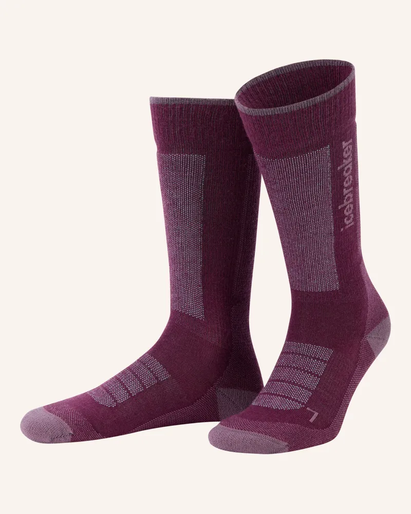 Icebreaker Skisocken Mit Merinowolle lila Fuchsia