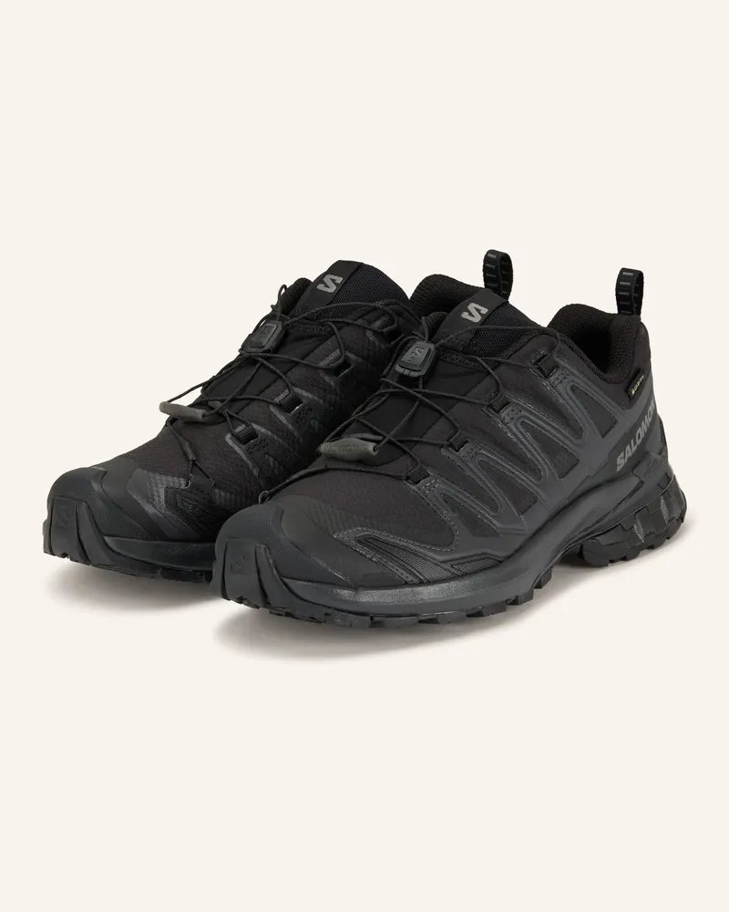 Salomon Wanderschuhe Xa Pro 3d v9 Gtx schwarz Schwarz