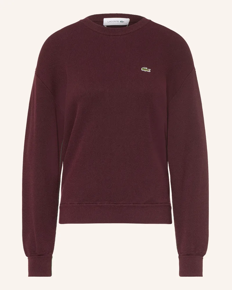 Lacoste Pullover rot Dunkelbraun