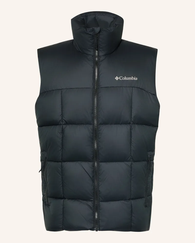 Columbia Sportswear Company Steppweste Puffect™ Iv schwarz Schwarz
