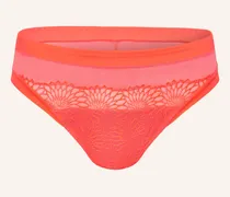 Taillenslip Sophora pink