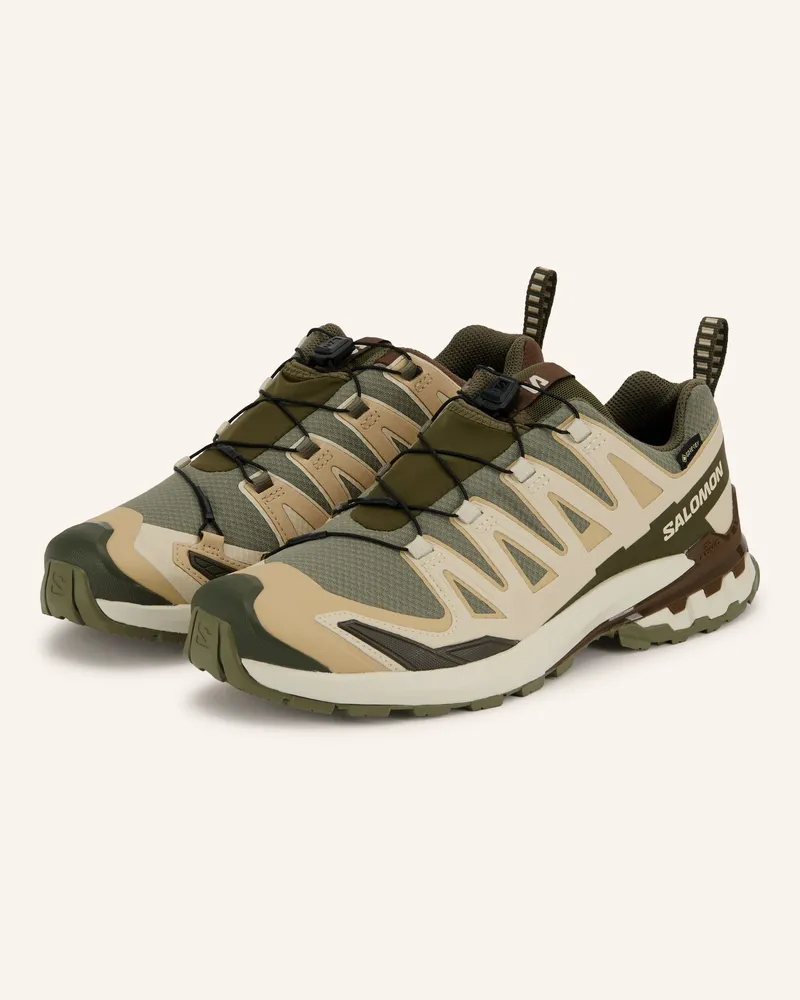 Salomon Trailrunning-Schuhe Xa Pro 3d v9 Gtx gruen Beige