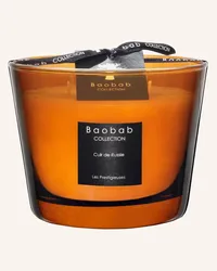 Baobab Collection Duftkerze CUIR DE RUSSIE 159.98 € / 1 kg Braun