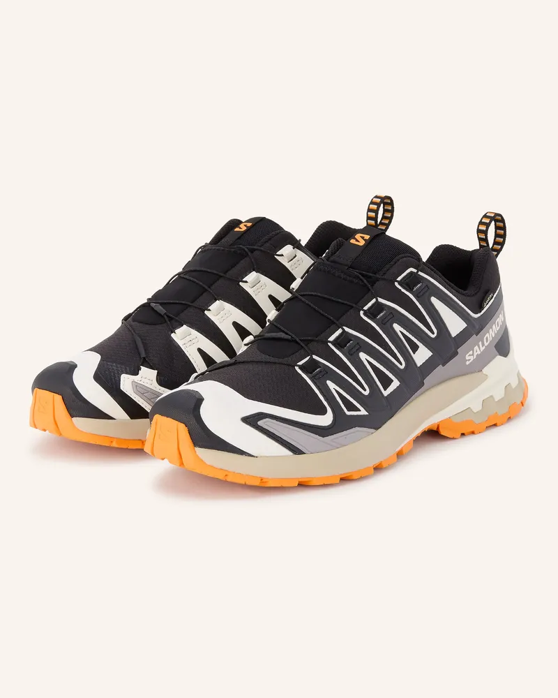 Salomon Wanderschuhe XA PRO 3D V9 GTX Schwarz