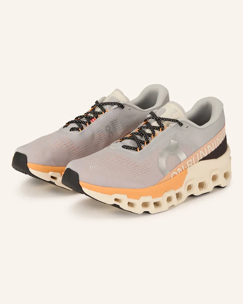 ON Laufschuhe Cloudmonster 2 grau Grau