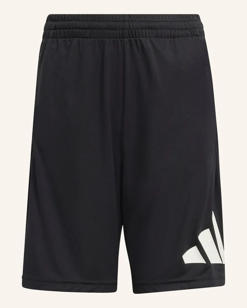 adidas Shorts Train Essentials schwarz Schwarz