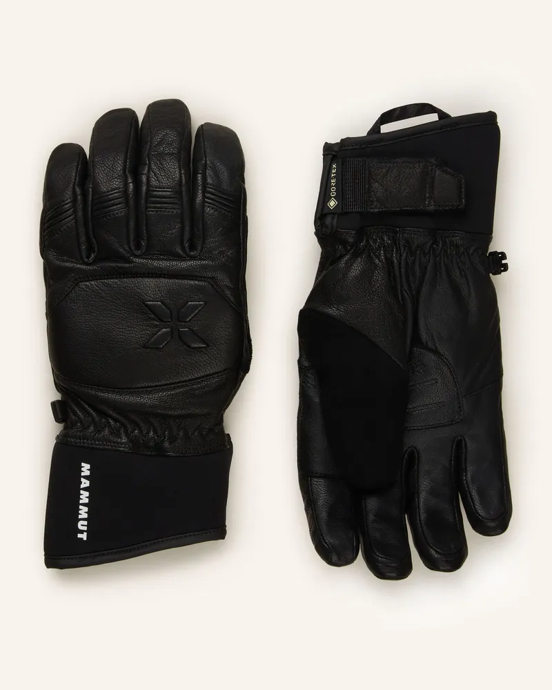 Mammut Skihandschuhe Eiger Free schwarz Schwarz