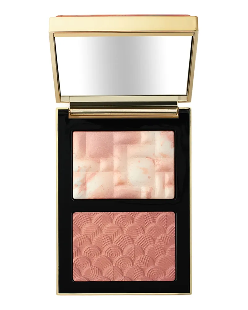 Bobbi Brown BLUSH & HIGHLIGHT DUO 4373.75 € / 1 kg 