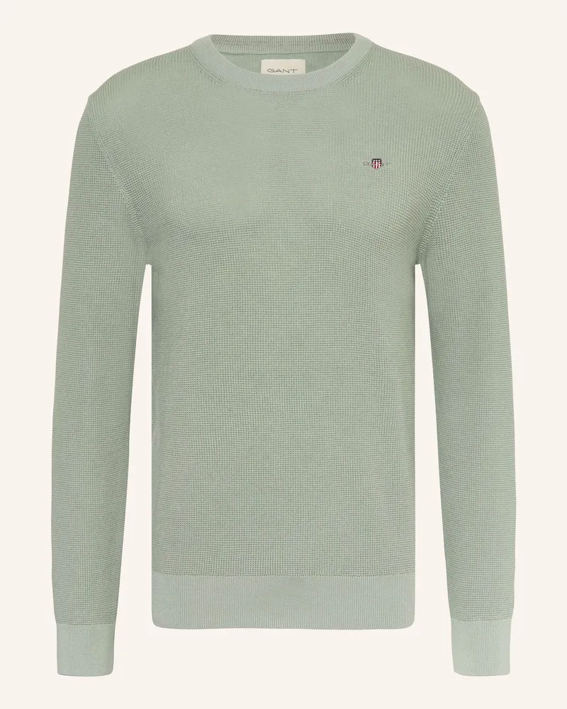 Gant Pullover grau Hellgrün