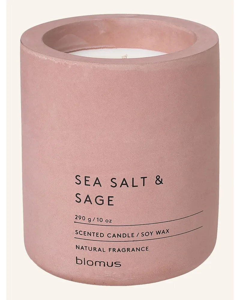 Blomus Duftkerze SEA SALT & SAGE 96.52 € / 1 kg Rosa