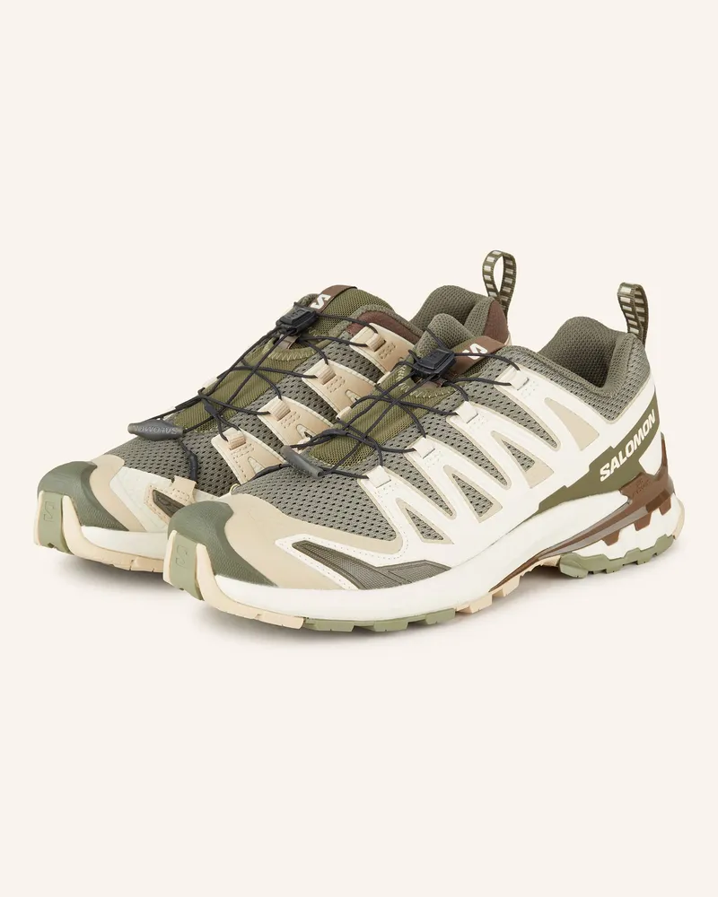 Salomon Wanderschuhe XA PRO 3D V9 Oliv