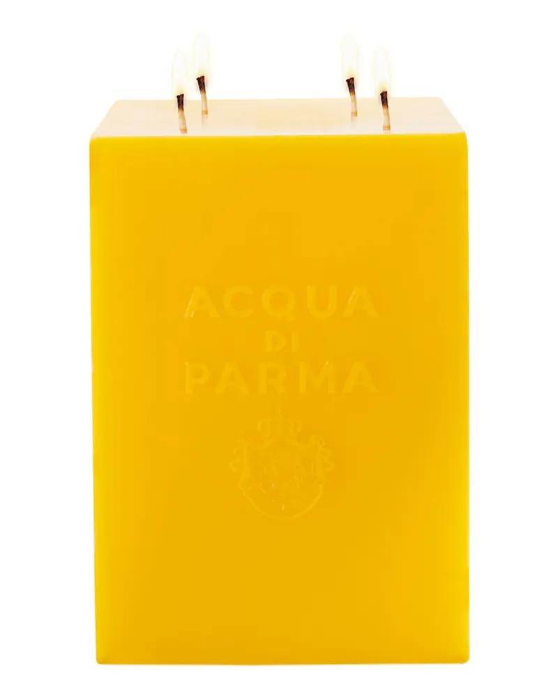 ACQUA DI PARMA Jumbo Candle Duftkerze 9000 g 