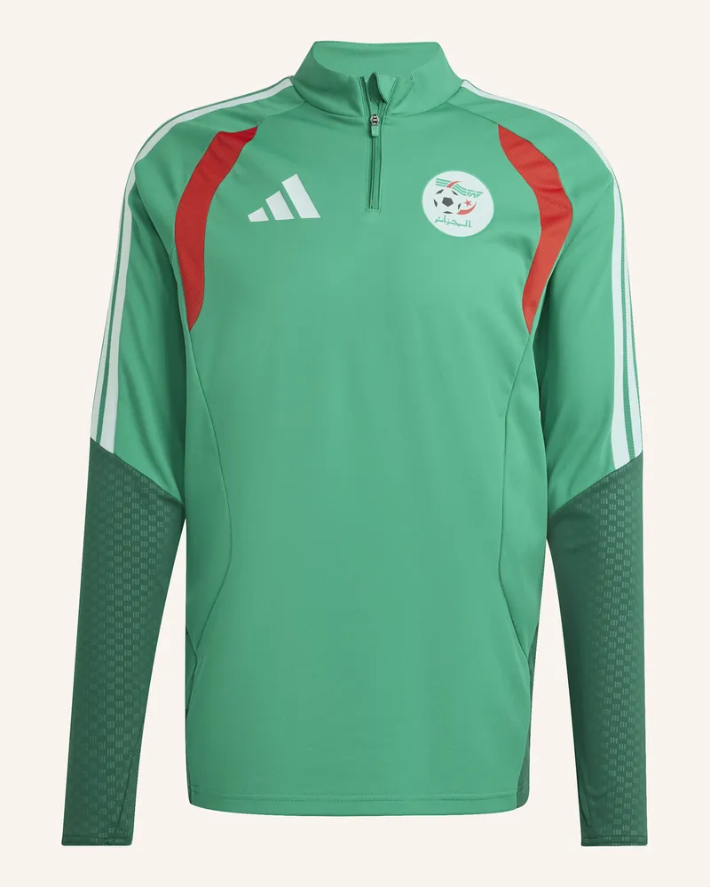 adidas Algeria 26 Trainingsoberteil gruen Grün