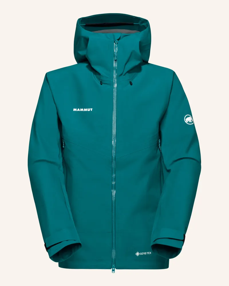 Mammut Hardshelljacke CRATER IV HOODED Grün