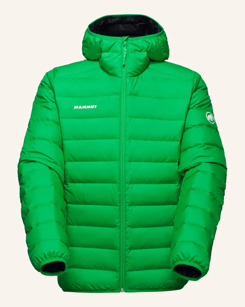 Mammut Daunenjacke WAYMARKER IN mit Kapuze Grün