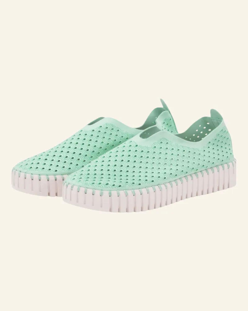 Ilse Jacobsen Sneaker TULIP3373 Petrol