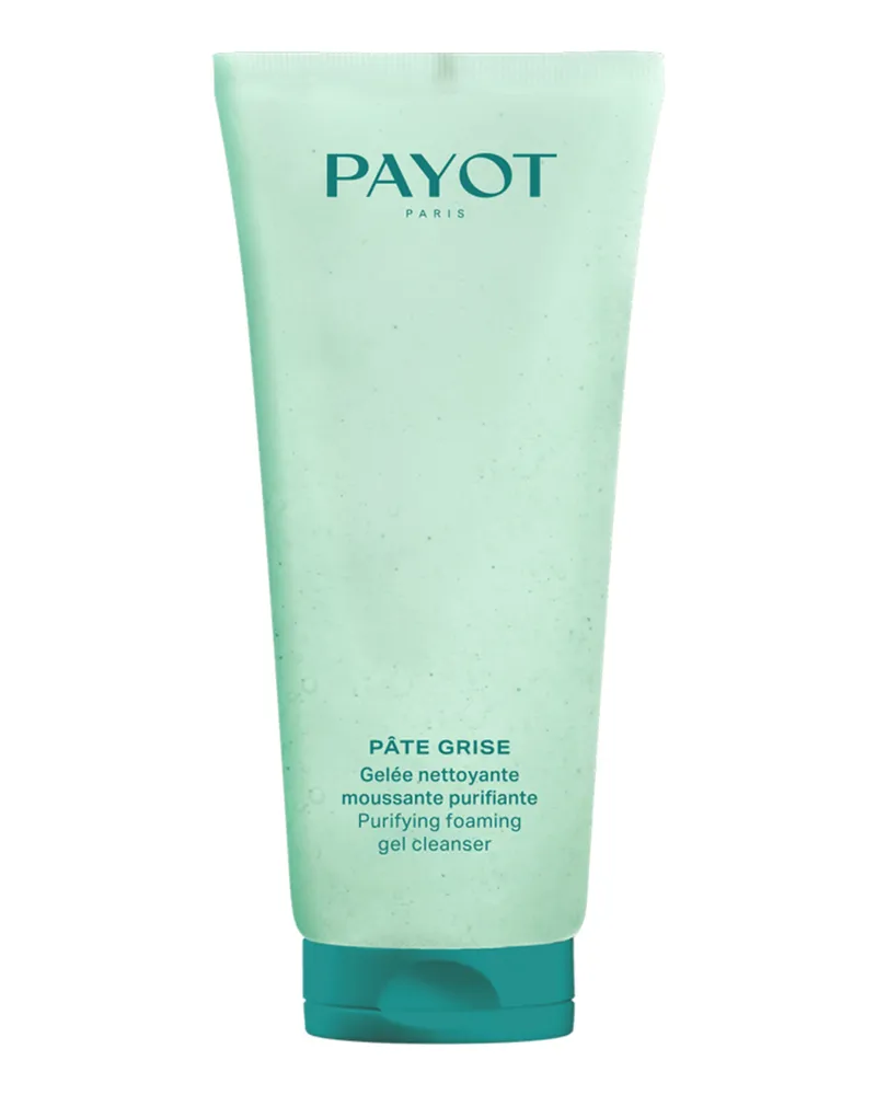 Payot PÂTE GRISE 