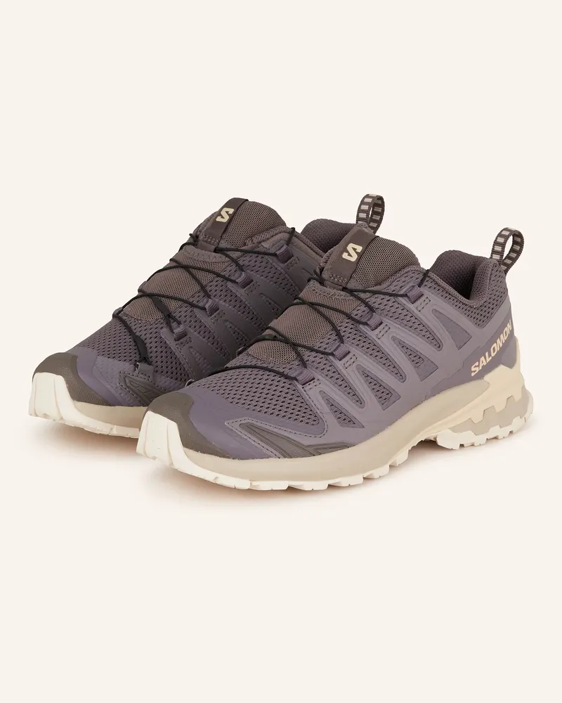 Salomon Trailrunning-Schuhe XA PRO 3D V9 Taupe